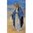 Heiligenbildchen Immaculata Gnandenspenderin 12 x 6,7 cm