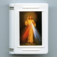 Rosenkranz Schatulle Kunststoff Buchfom Barmherziger Jesus 6 x 5 cm