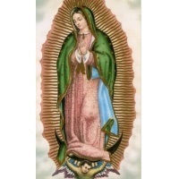 Heiligenbildchen Heilige Mutter Gottes von Guadalupe 12 x 7 cm
