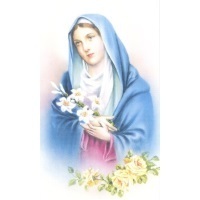 Heiligenbildchen Maria mit Lilien 12 x 7 cm