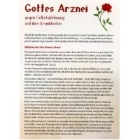 Gottes Arznei gegen Selbstablehnung und ihre Krankheiten Br. Gabriel Hüger Faltblatt 4seitig A3Forma