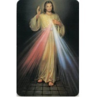 PVC Heiligenbildchen Barmherziger Jesus 8,5 x 5,4 cm