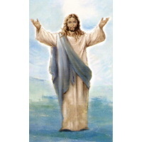 Heiligenbildchen Jesus geht auf dem Wasser 12 x 7 cm