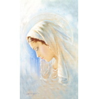 Heiligenbildchen Madonna moderne Version 12 x 7 cm