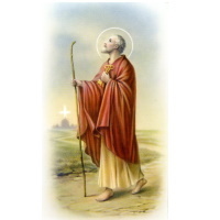 Heiligenbildchen Heiliger Petrus ca. 10 x 6 cm